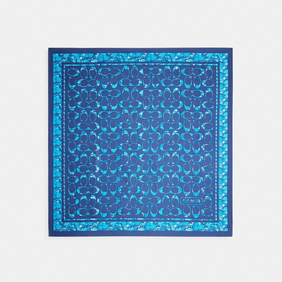 Bufanda COACH Signature Rose Meadow Print Silk Square Mujer Azul Marino | QCSMNT-591