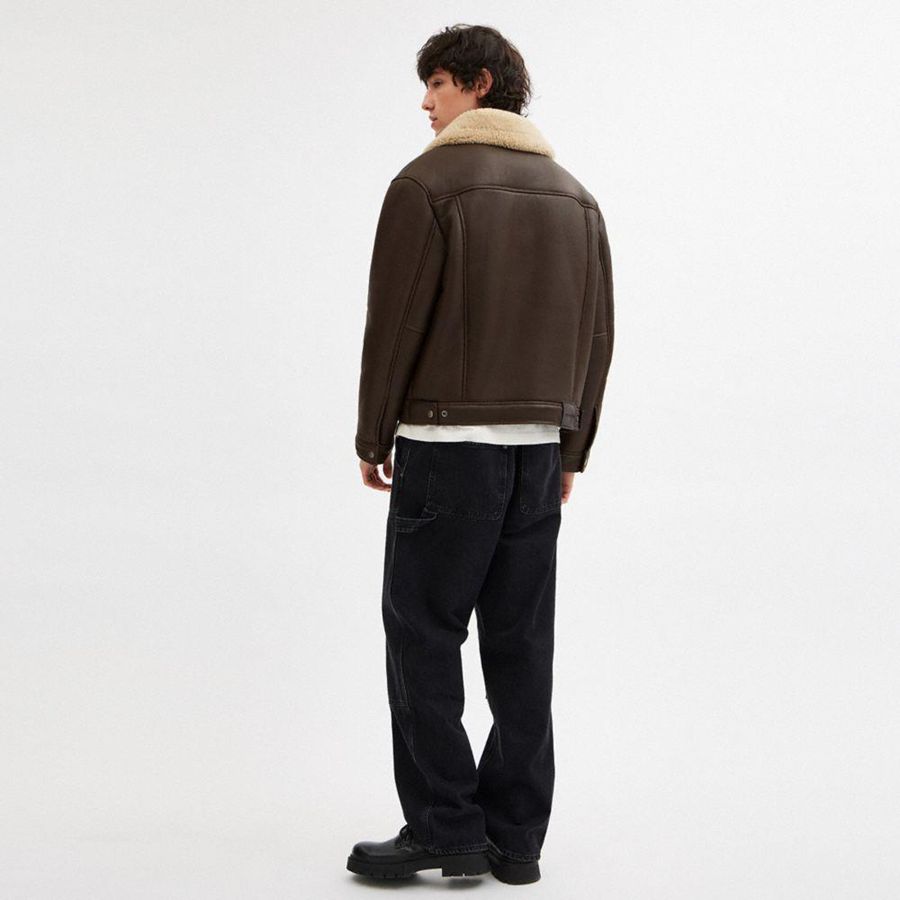 Casaca COACH Shearling Trucker Hombre Marrones | IWPCYH-240