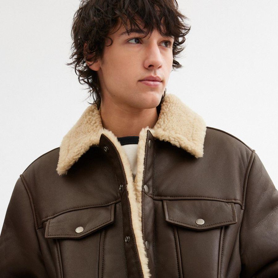 Casaca COACH Shearling Trucker Hombre Marrones | IWPCYH-240