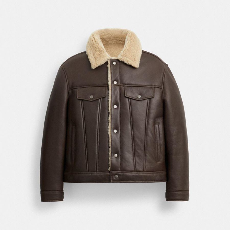Casaca COACH Shearling Trucker Hombre Marrones | IWPCYH-240