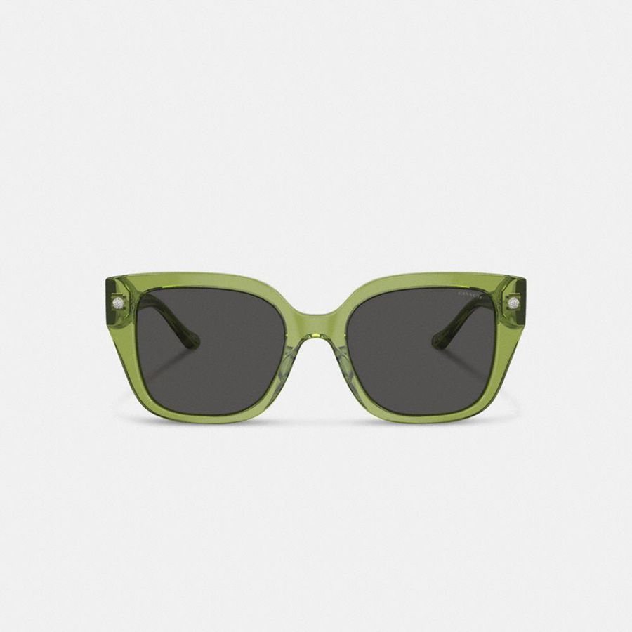 Lentes de Sol COACH Charms Oversized Square Mujer Verde | SICEUW-975
