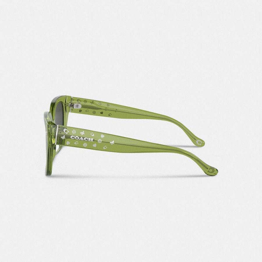 Lentes de Sol COACH Charms Oversized Square Mujer Verde | SICEUW-975