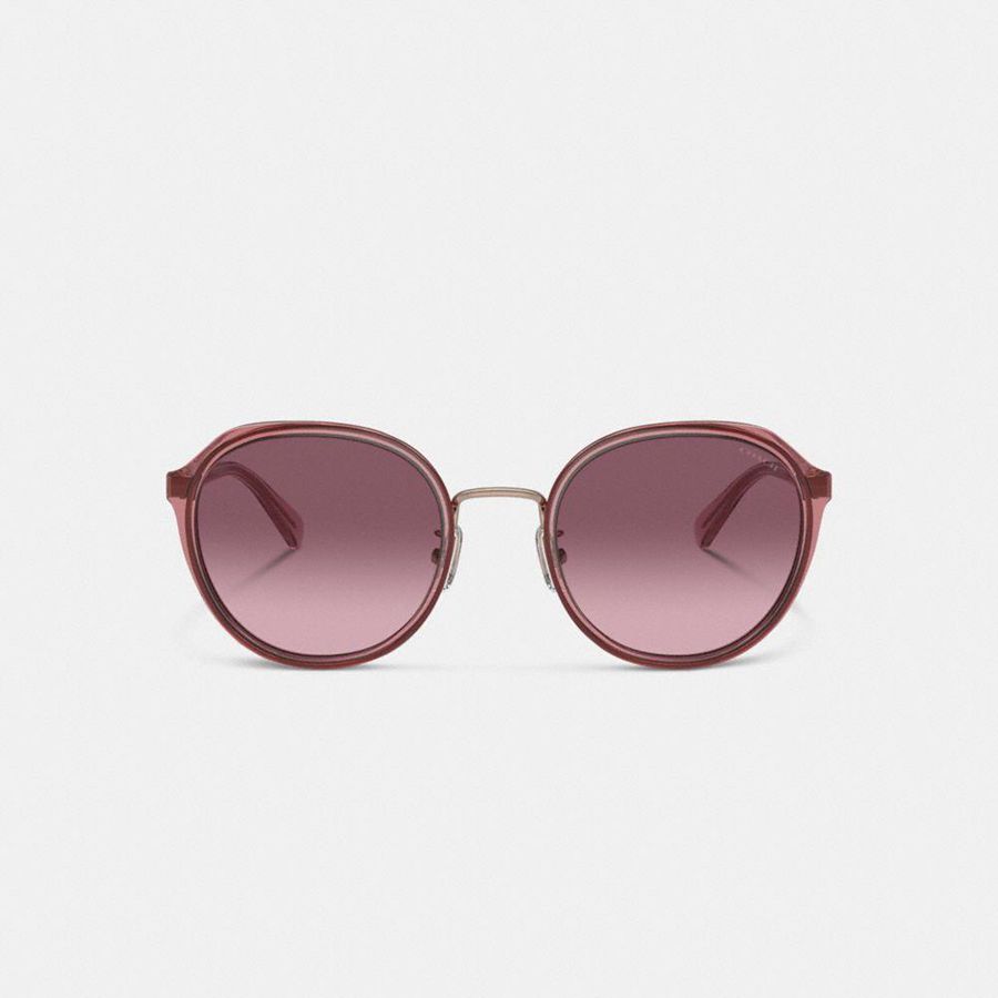 Lentes de Sol COACH Hangtag Geometric Round Mujer Rosas | TDRHGS-905