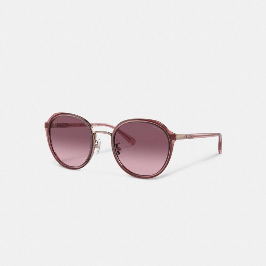 Lentes de Sol COACH Hangtag Geometric Round Mujer Rosas | TDRHGS-905