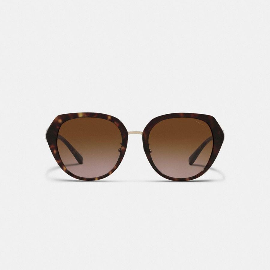 Lentes de Sol COACH Horse And Carriage Oversized Round Mujer Marrones | IVLYUE-027