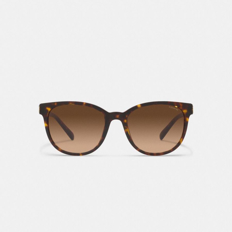 Lentes de Sol COACH Horse And Carriage Round Mujer Marrones | VRFKAS-951