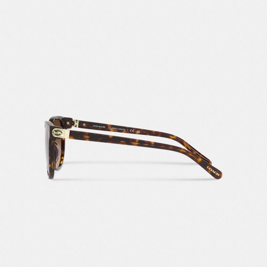Lentes de Sol COACH Horse And Carriage Round Mujer Marrones | VRFKAS-951
