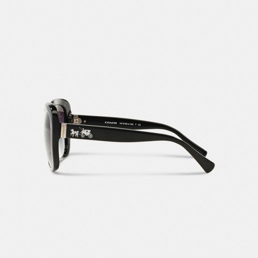 Lentes de Sol COACH Horse And Carriage Square Mujer Negras | WQXJKN-312