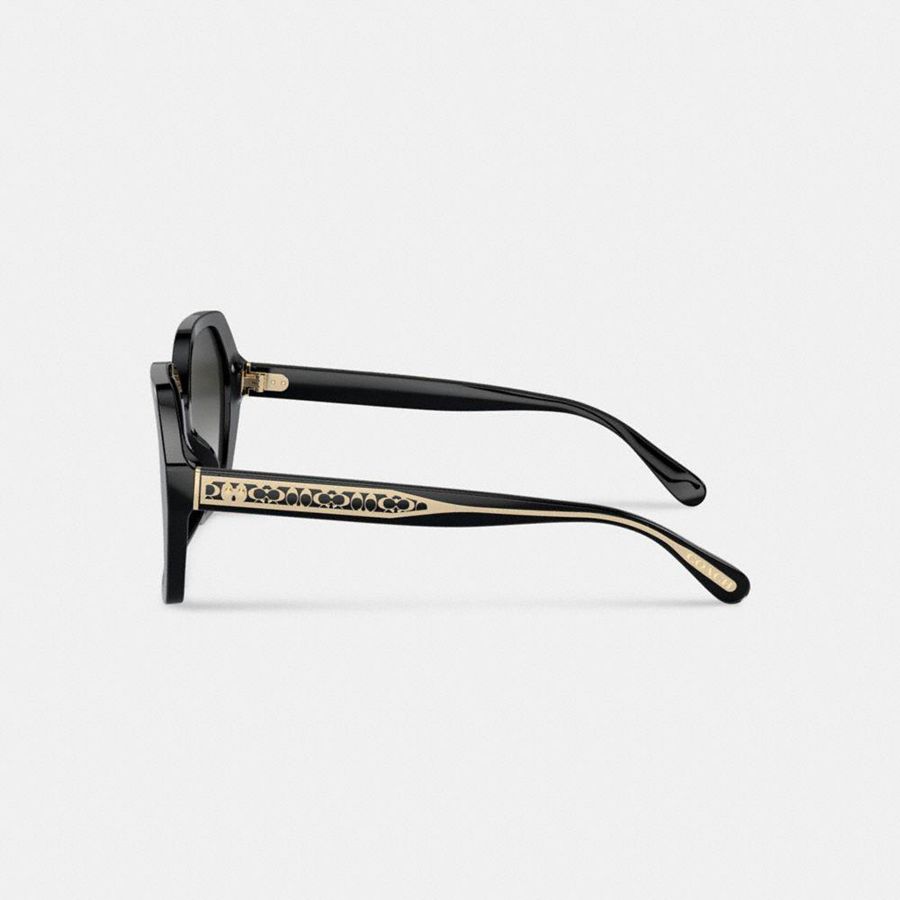 Lentes de Sol COACH Signature Ombré Geometric Square Mujer Gris | QDTYNS-689
