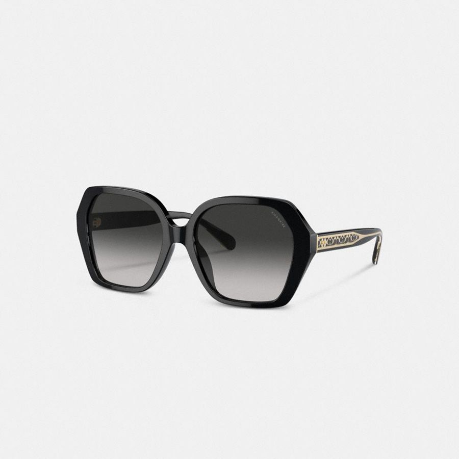 Lentes de Sol COACH Signature Ombré Geometric Square Mujer Gris | QDTYNS-689