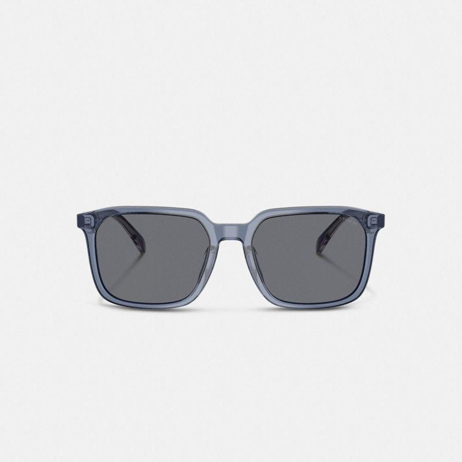 Lentes de Sol COACH Thin Square Hombre Gris | LOEACU-127