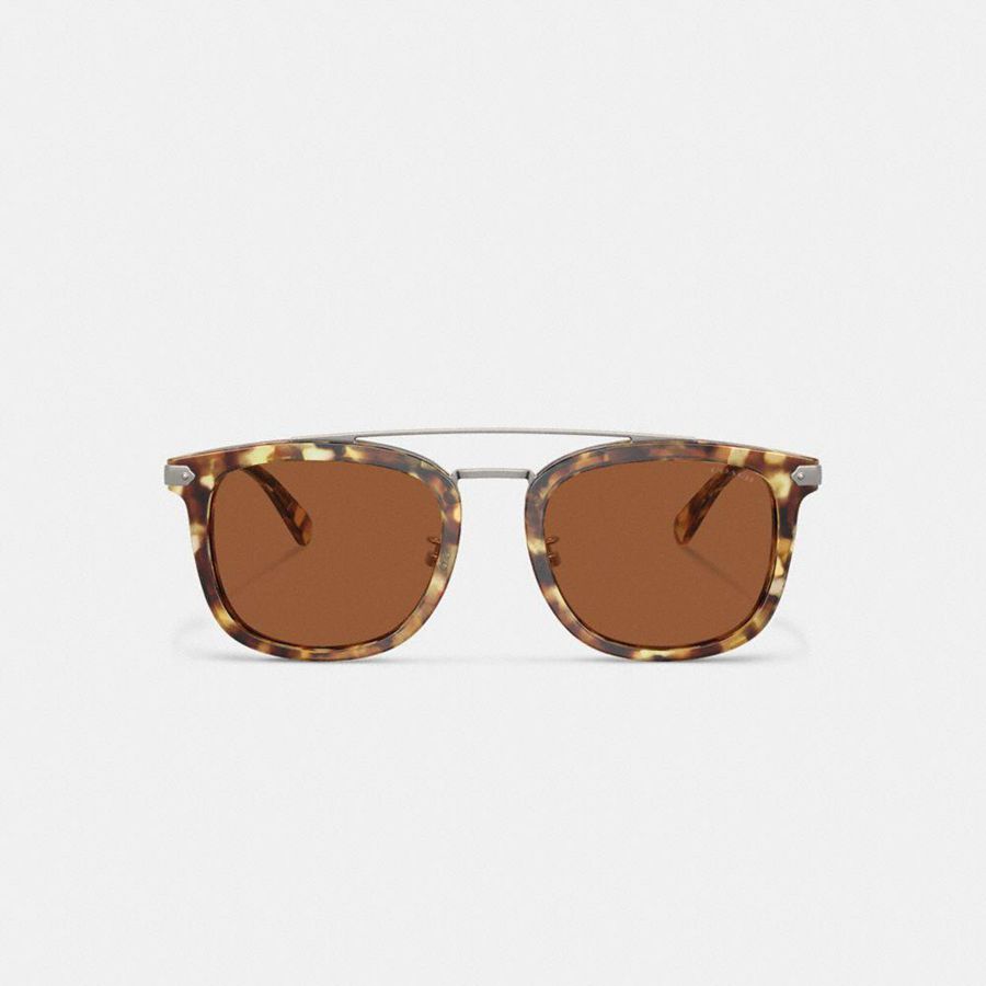 Lentes de Sol COACH Wrap Around Hangtag Browbar Hombre Marrones | UKXLDM-271