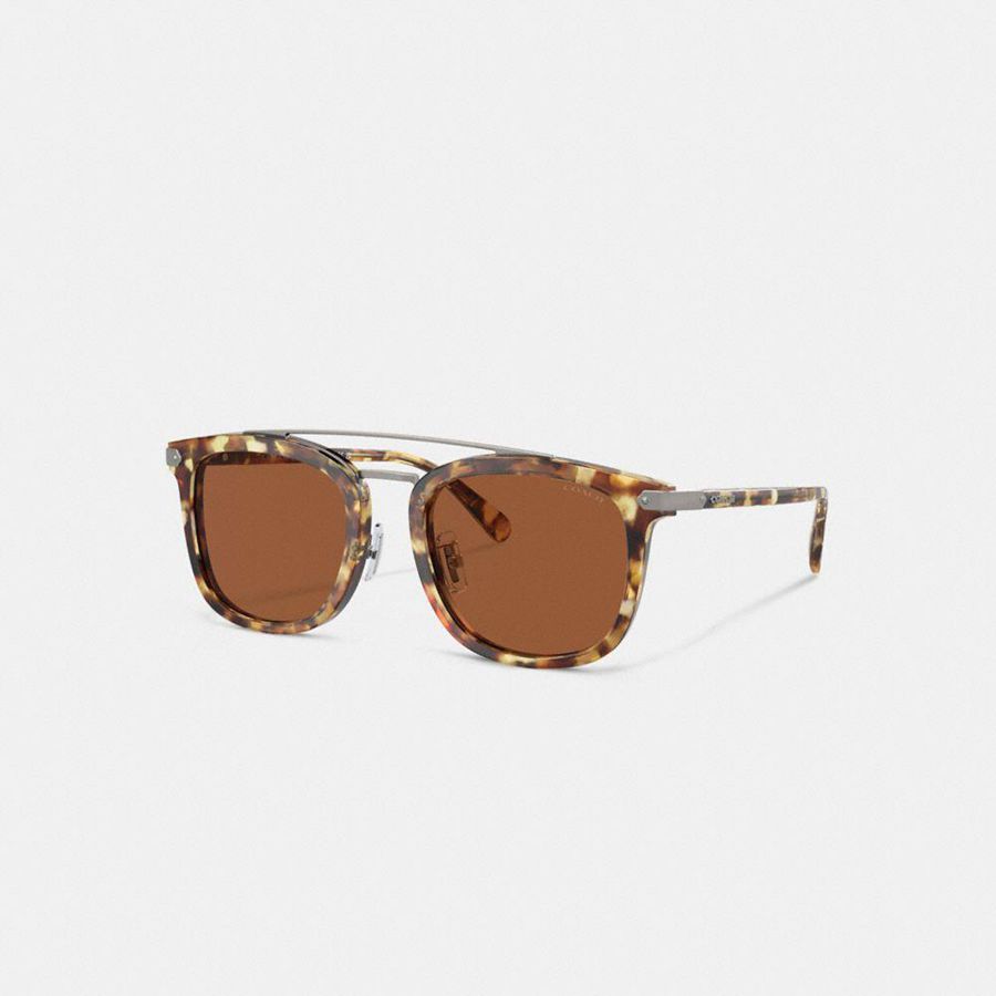 Lentes de Sol COACH Wrap Around Hangtag Browbar Hombre Marrones | UKXLDM-271