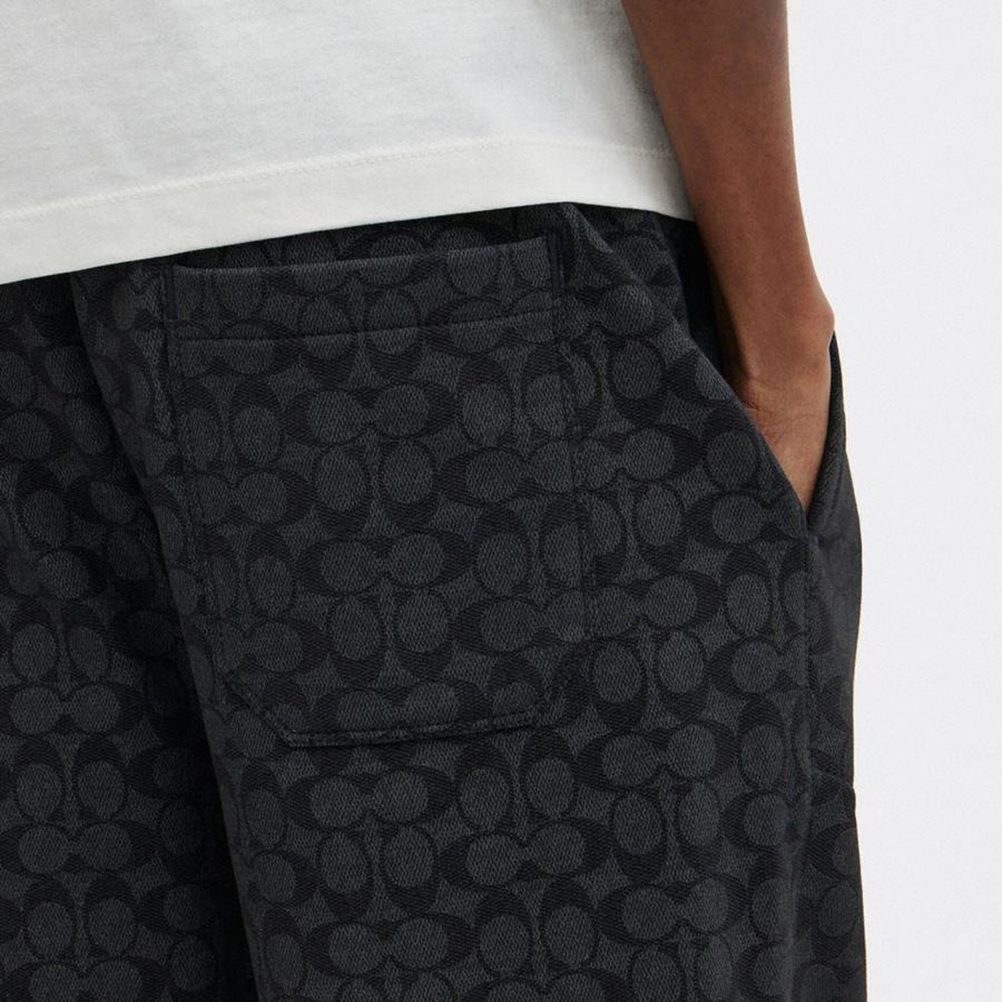 Pantalon COACH Essential Signature Joggers Hombre Gris | FBHJSP-028