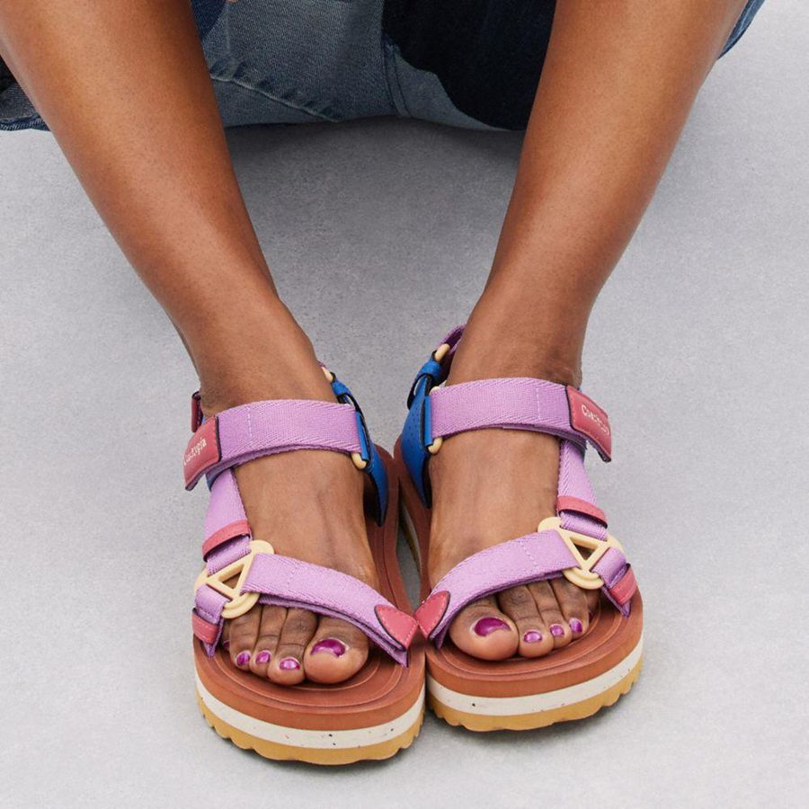 Sandalias COACH Strappy Mujer Rosas | JVADSO-726
