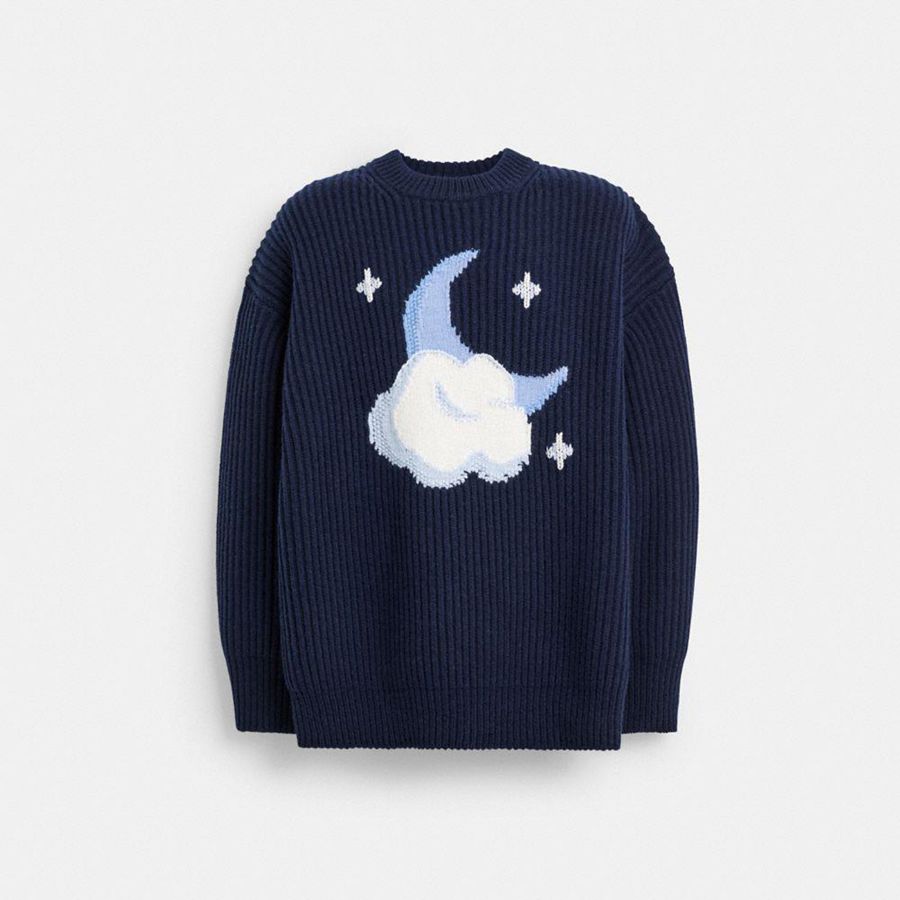 Suéter COACH Chunky Graphic In Recycled Wool Mujer Azules | AMLEJG-816